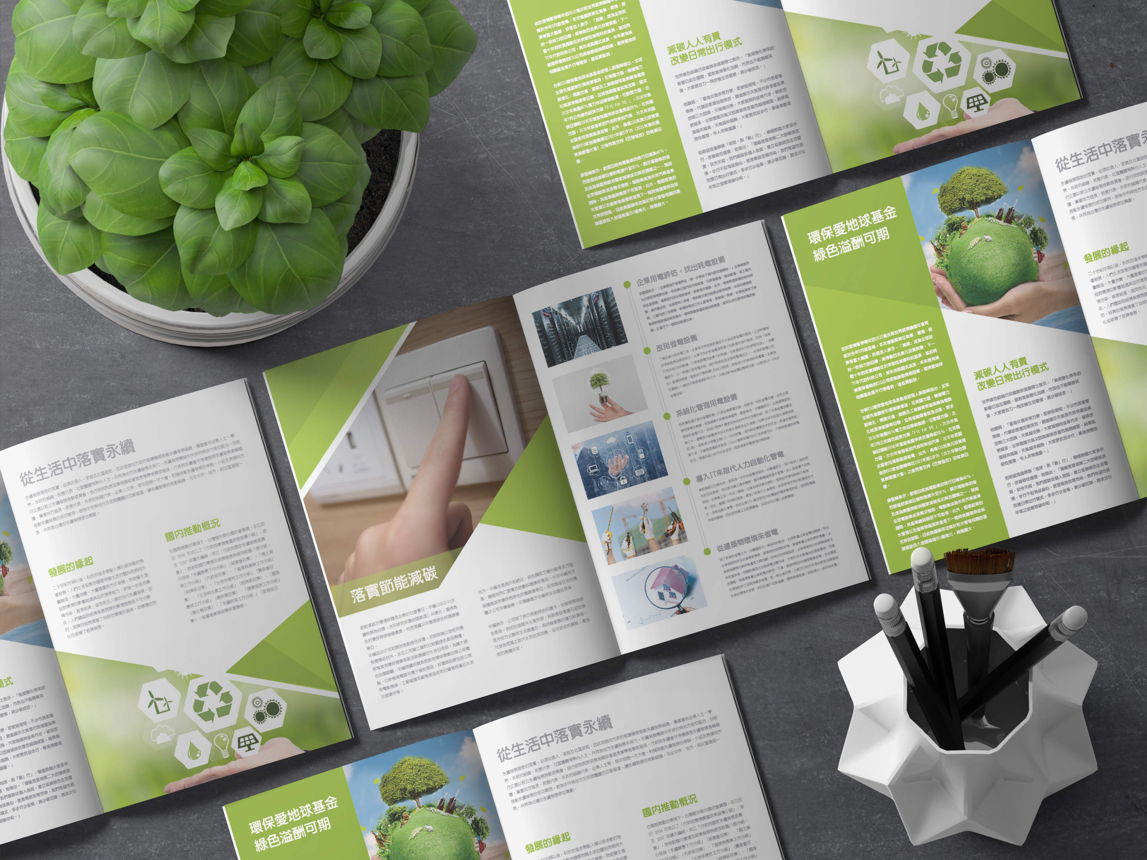 Nature環保組織發展手冊設計